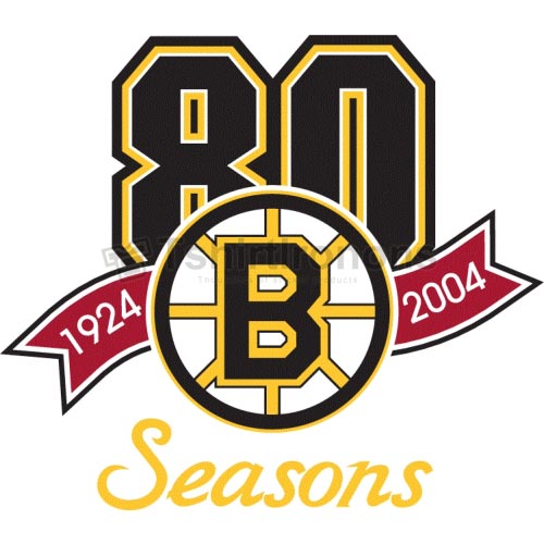 Boston Bruins T-shirts Iron On Transfers N73